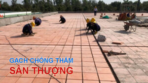 Gach chong tham san thuong