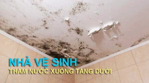 Nha ve sinh tham nuoc xuong tang duoi 0