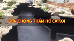 sơn chống thấm hồ cá koi